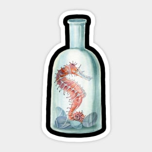 Sea horse in a bottle Sticker